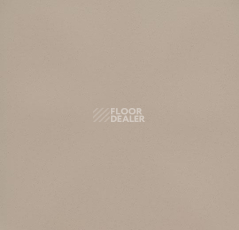 Линолеум Forbo Eternal Colour 40392 cement фото 1 | FLOORDEALER